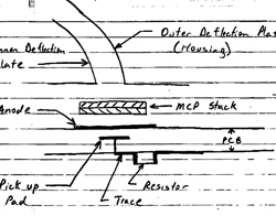 ELS Cross Section