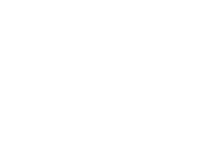 logo_irf